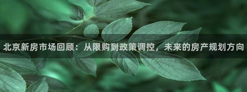 天狮娱乐主管q42862s：北京新房市场回顾：从限购到政策调