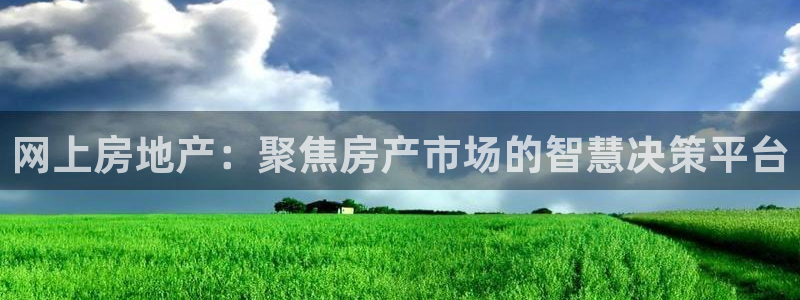 天狮娱乐 82104直招q：网上房地产：聚焦房产市场的智慧决