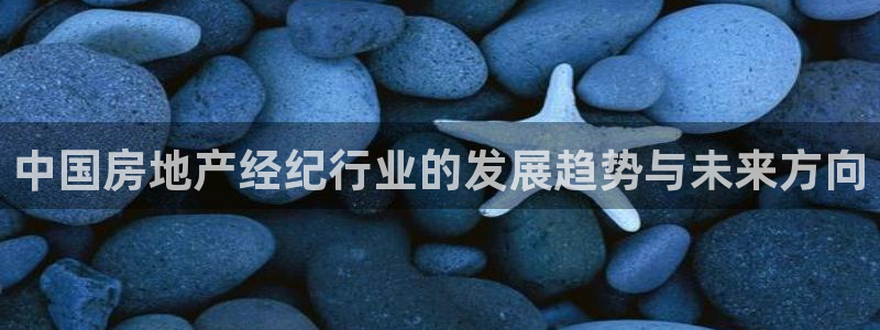 天狮娱乐　23976实c力：中国房地产经纪行业的发展趋势与未