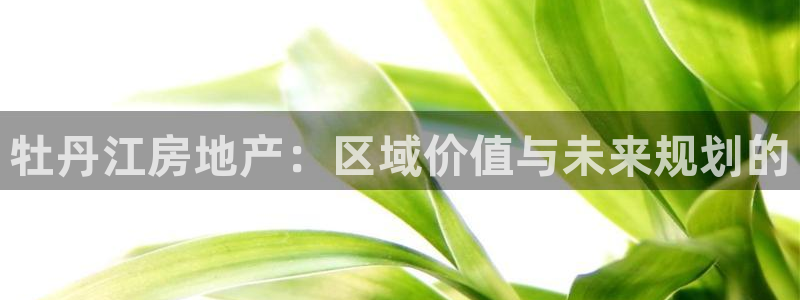 天狮娱乐主管待遇：牡丹江房地产：区域价值与未来规划的