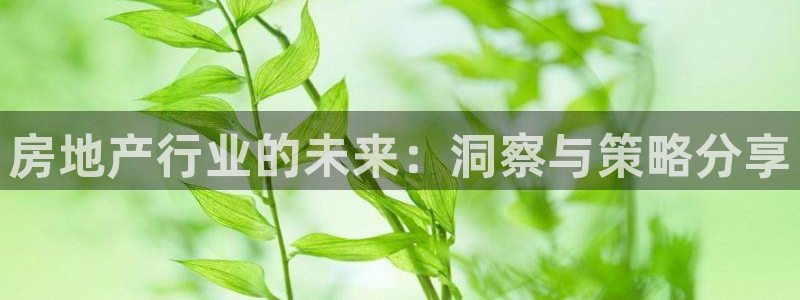 天狮娱乐q聊_99399天神_：房地产行业的未来：洞察与策略
