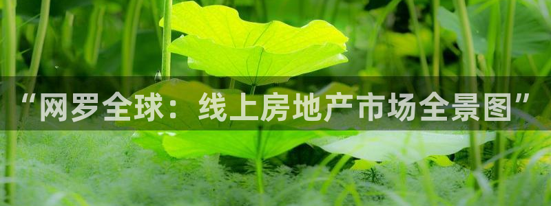 天狮娱乐240040q：“网罗全球：线上房地产市场全景图”