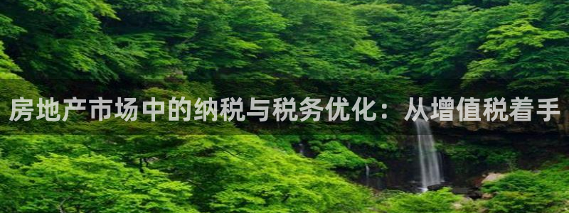 天狮娱乐是真是假：房地产市场中的纳税与税务优化：从增值税着手