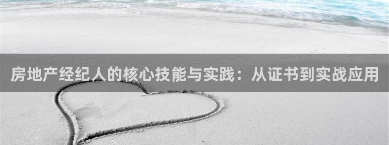 天狮娱乐138：房地产经纪人的核心技能与实践：从证书到实战应