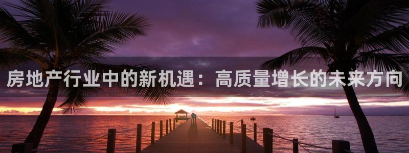 彩票天狮娱乐：房地产行业中的新机遇：高质量增长的未来方向