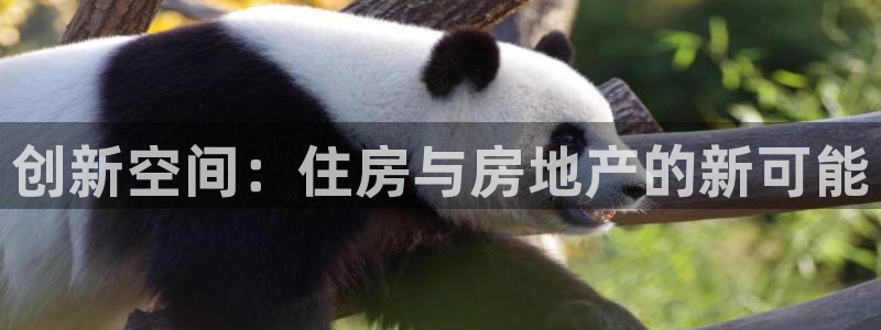 天狮娱乐怎么充钱：创新空间：住房与房地产的新可能
