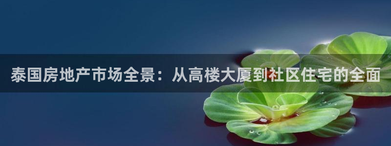 天狮娱乐 股s东50015：泰国房地产市场全景：从高楼大厦到