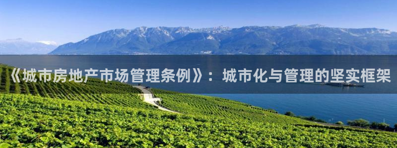 天狮娱乐股东36633：《城市房地产市场管理条例》：城市化与