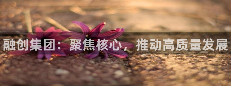 天狮娱乐经：融创集团：聚焦核心，推动高质量发展