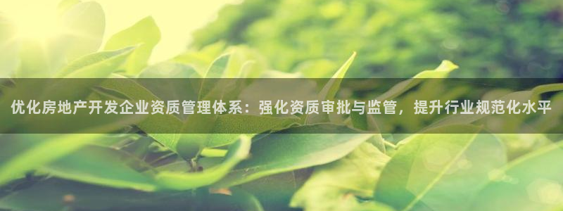 天狮娱乐主：优化房地产开发企业资质管理体系：强化资质审批与监