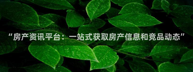 天狮娱乐骗局：“房产资讯平台：一站式获取房产信息和竞品动态”