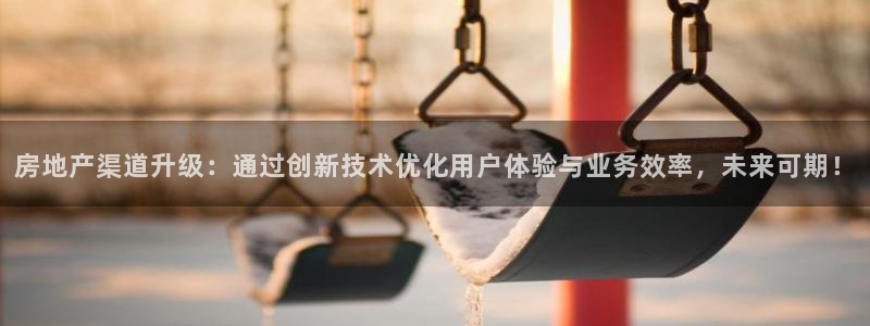 天狮娱乐分分：房地产渠道升级：通过创新技术优化用户体验与业务