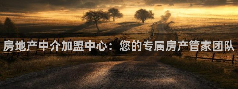 天狮娱乐 138do点c0m：房地产中介加盟中心：您的专属房