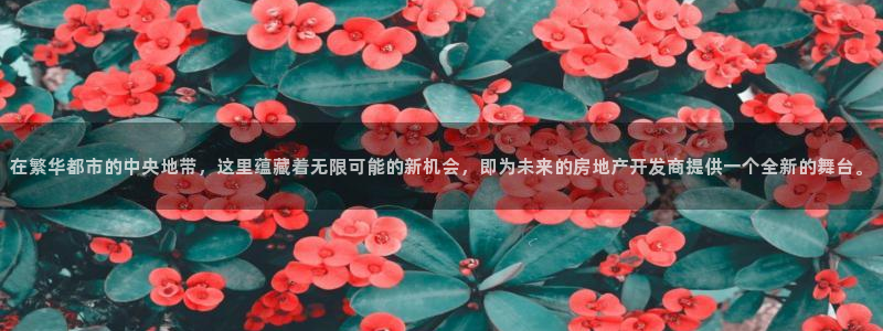 天狮娱乐e招d商98732：在繁华都市的中央地带，这里蕴藏着