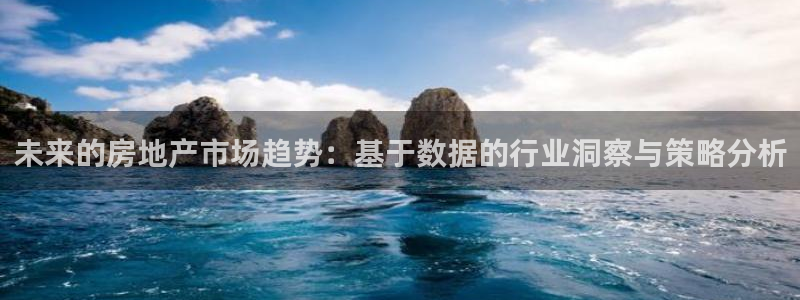 天狮娱乐负责人：未来的房地产市场趋势：基于数据的行业洞察与策