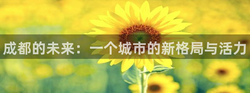 天狮娱乐负责：成都的未来：一个城市的新格局与活力