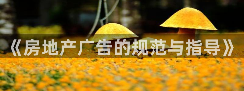 天狮娱乐股东36633：《房地产广告的规范与指导》