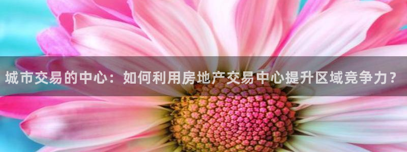 天狮娱乐真的假的：城市交易的中心：如何利用房地产交易中心提升