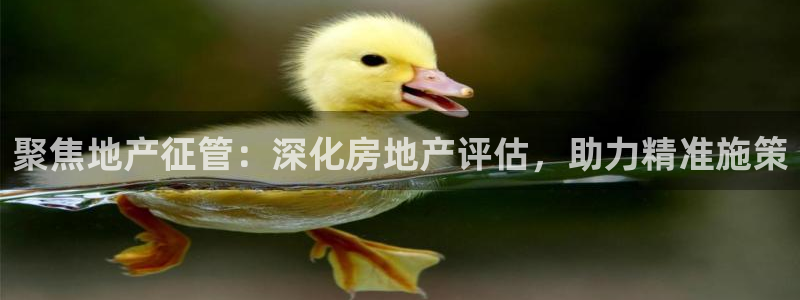 天狮学院娱乐设施：聚焦地产征管：深化房地产评估，助力精准施策