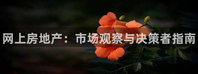 天狮娱乐app：网上房地产：市场观察与决策者指南