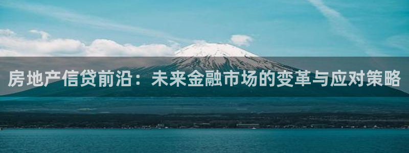 天狮学院娱乐设施：房地产信贷前沿：未来金融市场的变革与应对策