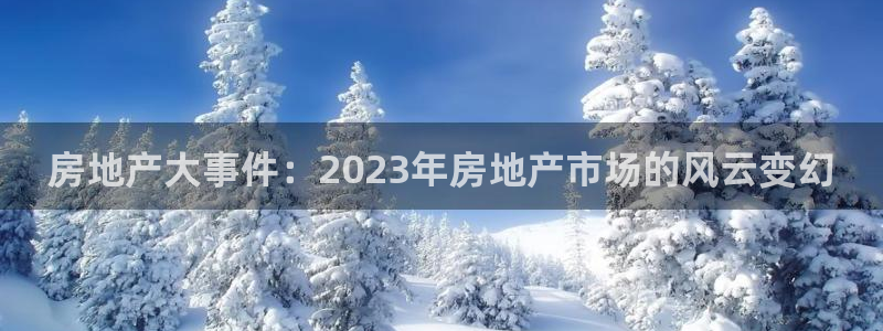 天狮娱乐39869股东：房地产大事件：2023年房地产市场的