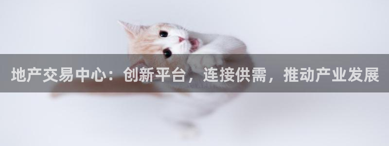 天狮娱乐指尖可：地产交易中心：创新平台，连接供需，推动产业发