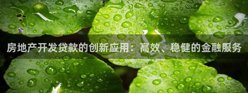 天狮娱乐嘉扣 o：房地产开发贷款的创新应用：高效、稳健的金融