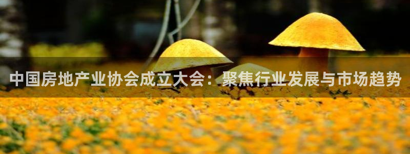天狮娱乐嘉扣 o
