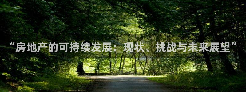 天狮娱乐经：“房地产的可持续发展：现状、挑战与未来展望”