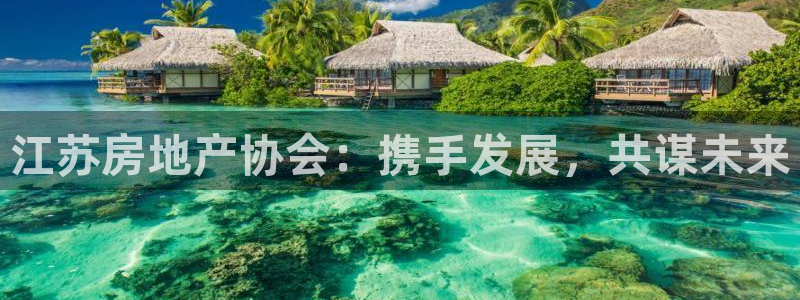天狮娱乐真的假的：江苏房地产协会：携手发展，共谋未来