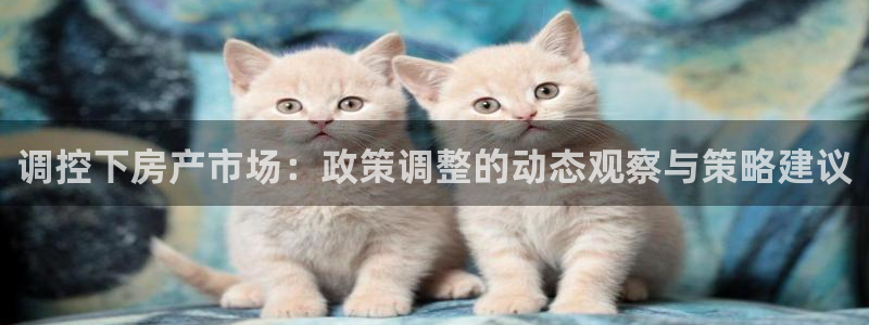 天狮娱乐招商66六26：调控下房产市场：政策调整的动态观察与