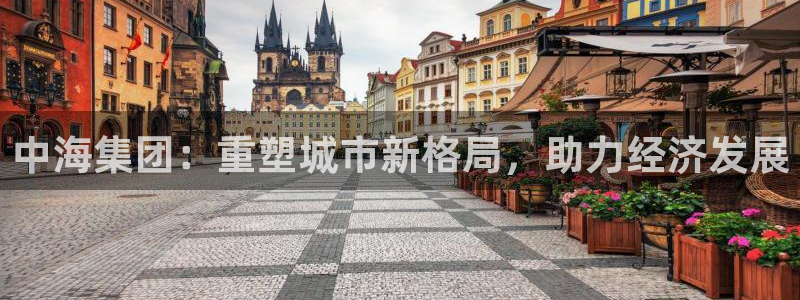 天狮娱乐会所：中海集团：重塑城市新格局，助力经济发展