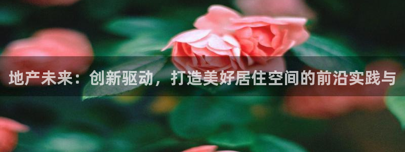 天狮娱乐网站：地产未来：创新驱动，打造美好居住空间的前沿实践