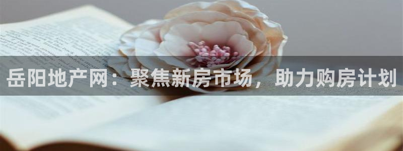 天狮娱乐家：岳阳地产网：聚焦新房市场，助力购房计划
