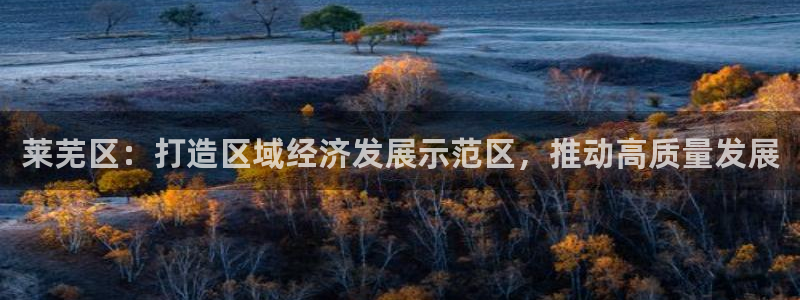 天狮娱乐33673 q实力：莱芜区：打造区域经济发展示范区，
