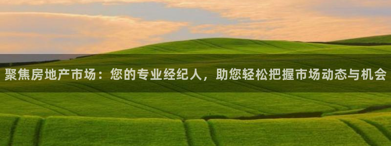 天狮娱乐縕不稳当：聚焦房地产市场：您的专业经纪人，助您轻松把