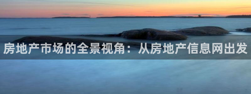 天狮娱乐股东：房地产市场的全景视角：从房地产信息网出发
