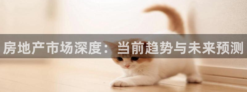 天狮娱乐彩票平台：房地产市场深度：当前趋势与未来预测