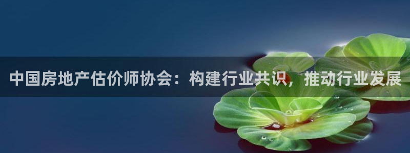 天狮娱乐彩票真假：中国房地产估价师协会：构建行业共识，推动行
