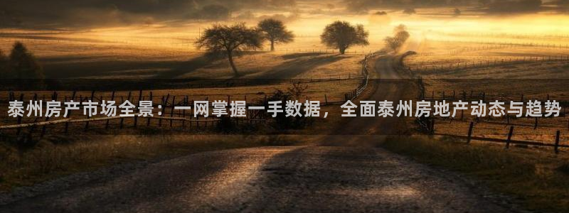 天狮娱乐 e.主管57661：泰州房产市场全景：一网掌握一手