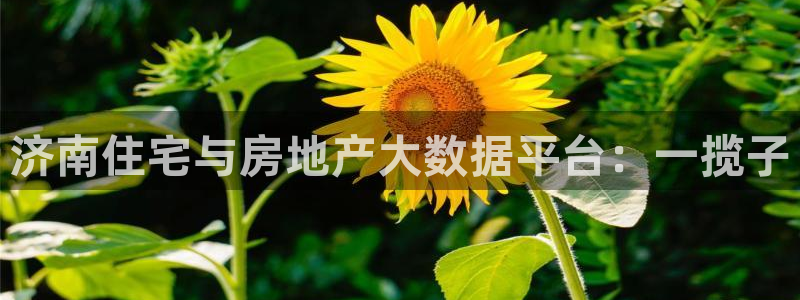 天狮娱乐彩票app：济南住宅与房地产大数据平台：一揽子