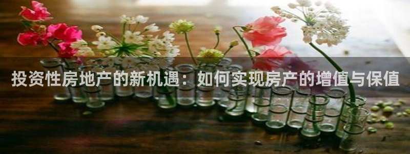 天狮娱乐怎么做代理：投资性房地产的新机遇：如何实现房产的增值