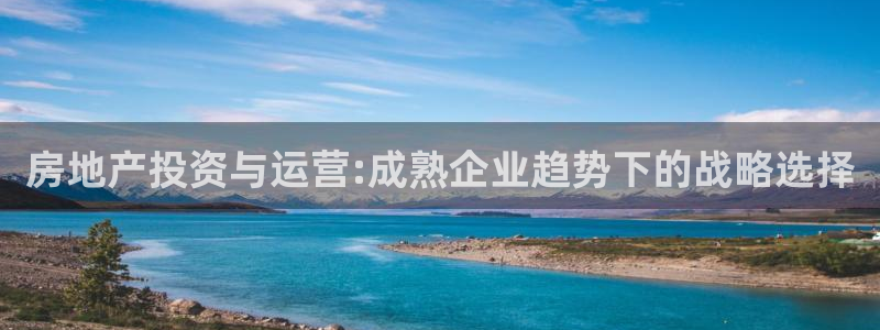 天狮娱乐 a招商67646：房地产投资与运营:成熟企业趋势下