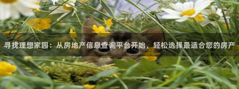 天狮娱乐开好：寻找理想家园：从房地产信息查询平台开始，轻松选