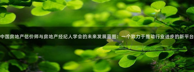 天狮娱乐鱼刺A软件：中国房地产估价师与房地产经纪人学会的未来