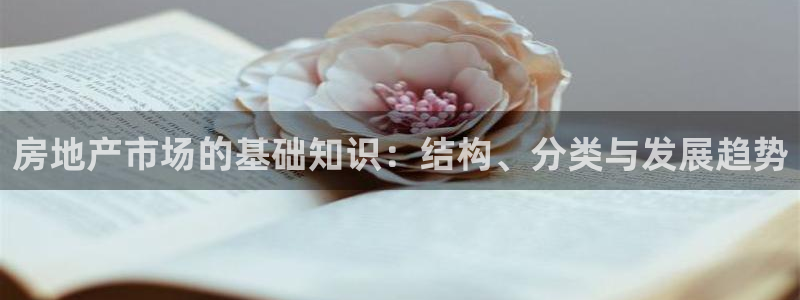 天狮娱乐b 判官是谁：房地产市场的基础知识：结构、分类与发展