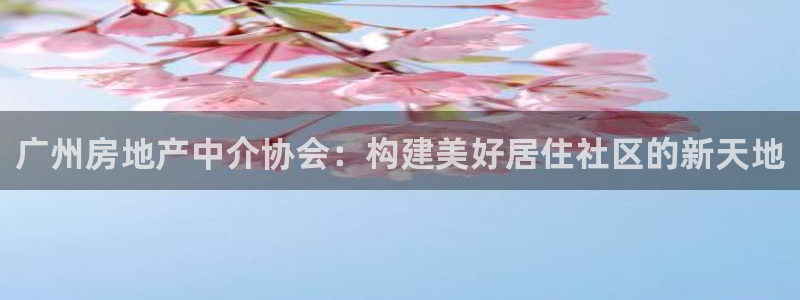 天狮娱乐b 判官是谁：广州房地产中介协会：构建美好居住社区的