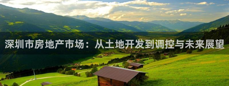 天狮娱乐 b内部61166：深圳市房地产市场：从土地开发到调