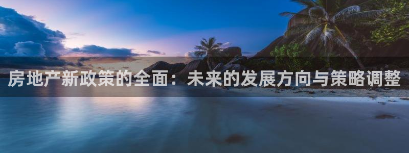 天狮娱乐最高待遇：房地产新政策的全面：未来的发展方向与策略调